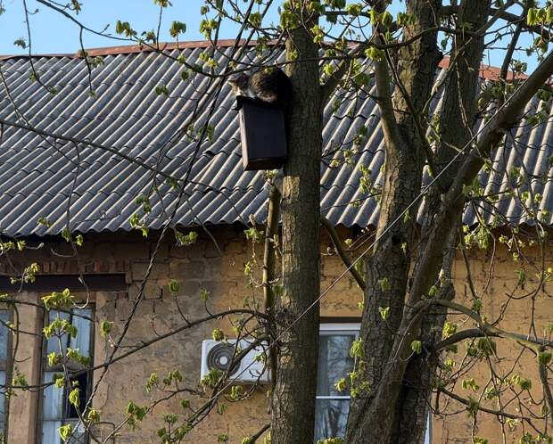 Тем временем в Донецке