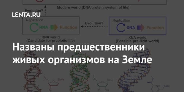 Названы предшественники живых организмов на Земле