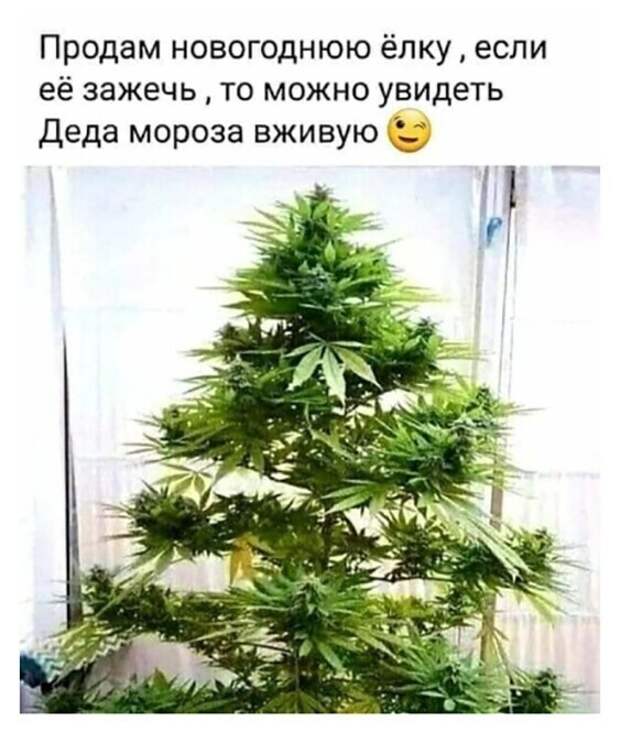 Фотоприколы для повышения настроения: "Пандемии назло" Фотоприколы для повышения настроения: "Пандемии назло"