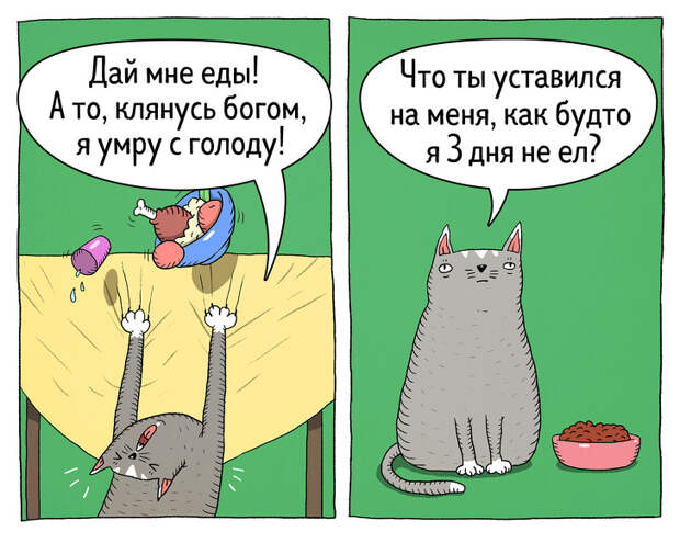 14 комиксов о том, что коты — самые противоречивые создания на планете