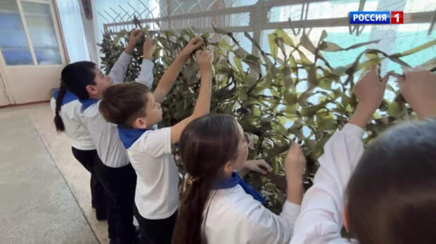 Своими руками — для самой надёжной защиты: Как в Крыму плетут маскировочные сети для наших бойцов