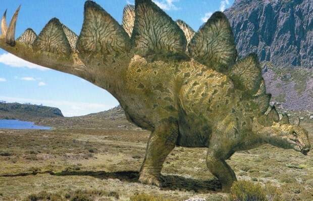 Американский штат Колорадо называют штатом стегозавров.