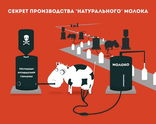 Молоко убивает Молоко убивает