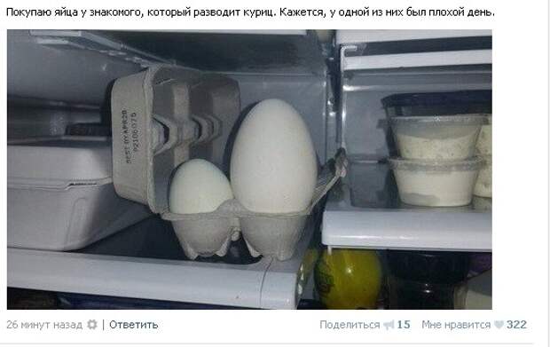 Приколы