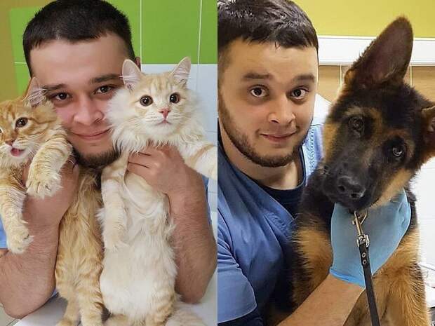 Ветеринару, спасающему животных от эвтаназии, грозит тюрьма