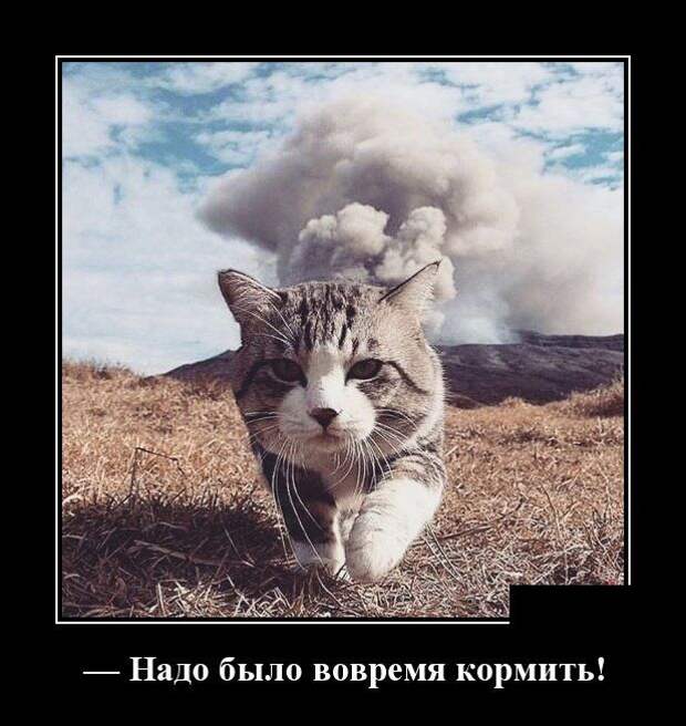 Демотиваторы (30 фото)