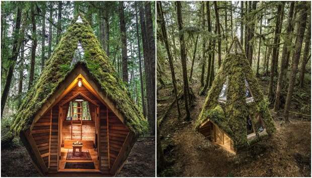Шестигранный домик, «задрапированный» мхом, выглядит поистине волшебно (Diamond Cabin, США). Шестигранный домик, «задрапированный» мхом, выглядит поистине волшебно (Diamond Cabin, США).