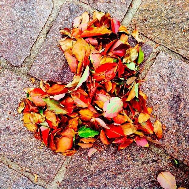 Fallen Leaf Art