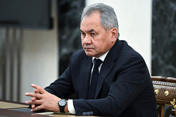 Шойгу обсудил с главой МОГО проекты по оказанию гуманитарной помощи