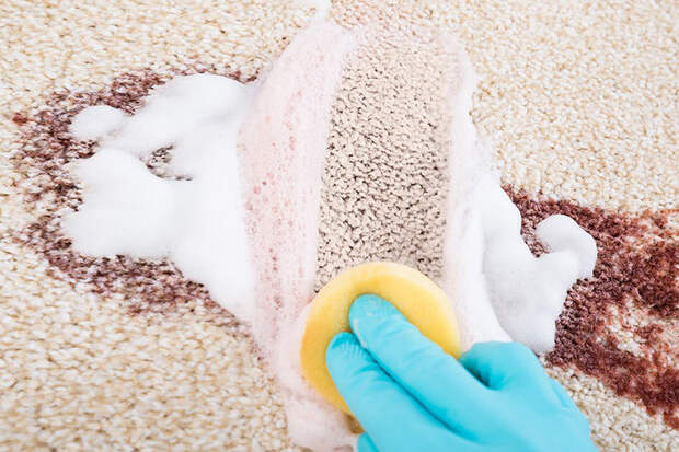 Как удалить пятна на ковре