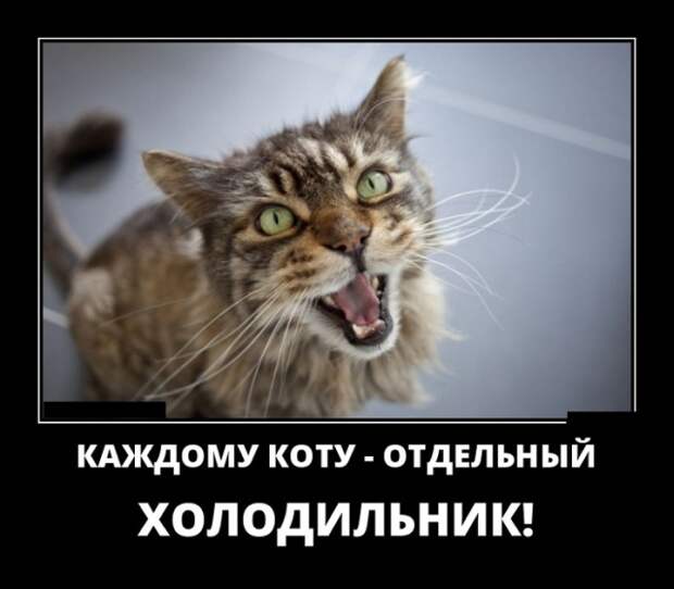 Демотиваторы (30 фото)