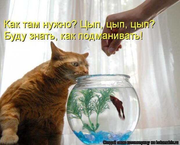 Мысли вслух :)