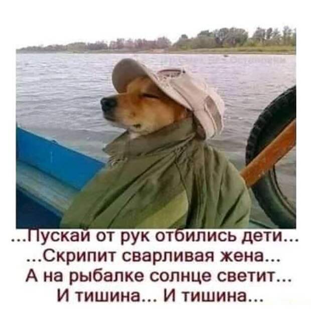 Прикольные и смешные картинки