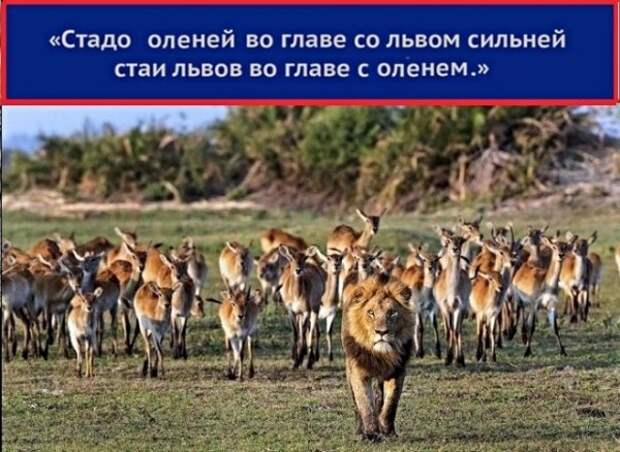 Юмор, юмор, юмор... Юмор, юмор, юмор...
