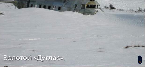 Золотой «Дуглас».
