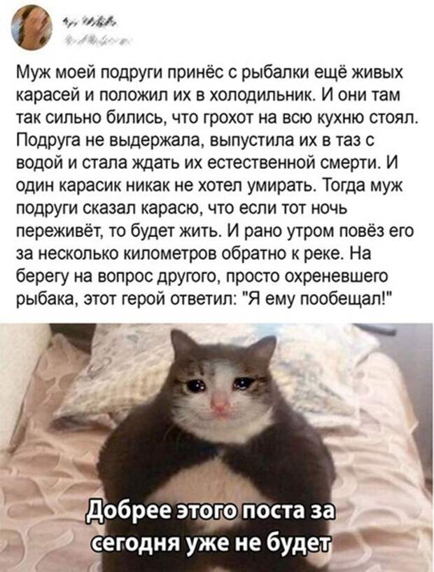 Добрый пост) Добрый пост)
