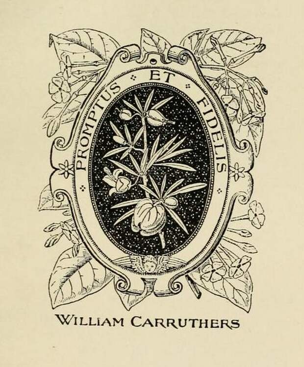 Bookplate of William Carruthers Esq FZS botanist of the Br… | Flickr