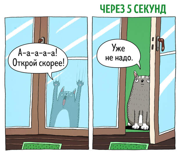 14 комиксов о том, что коты — самые противоречивые создания на планете