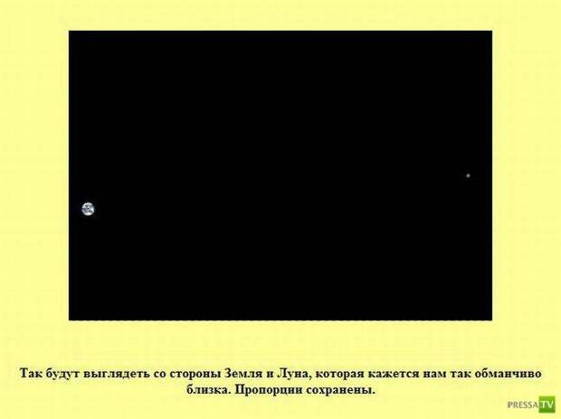 Интересные факты в картинках
