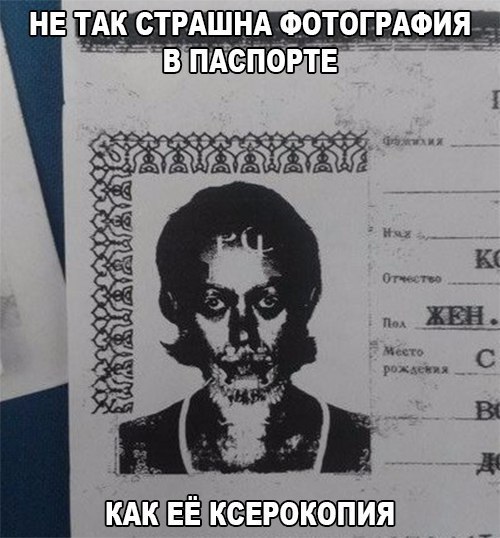 Забавные картинки с надписями со смыслом (11 фото) Забавные картинки с надписями со смыслом (11 фото)