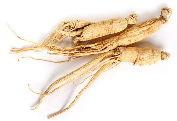 iStock_9746422_MEDIUM.jpg