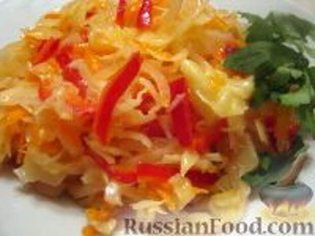 Фото к рецепту: Салат из капусты «Закусон»