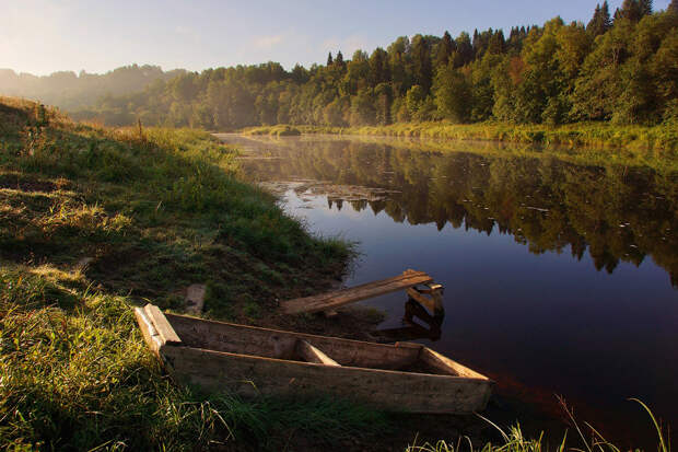 Вепсский лес