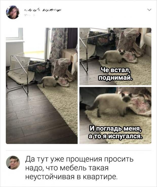 комментарий про мебель