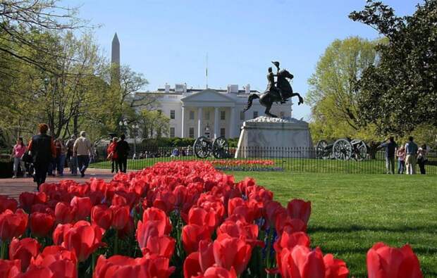 15 фотографий самых удивительных и живописных мест в Вашингтоне, которые стоит посетить