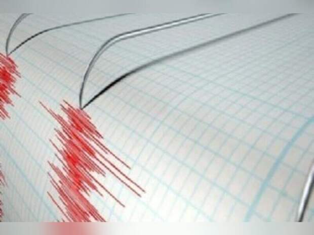 Жители Читы почувствовали землетрясение