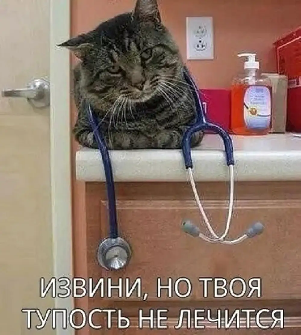 Котик доктор