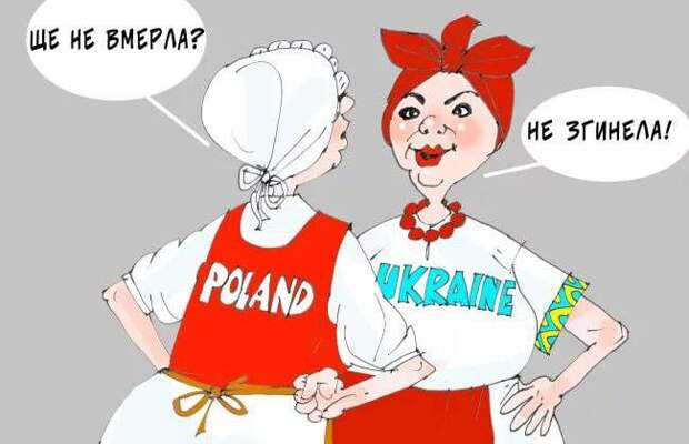 У Польши лопнуло терпение: украинский политик остался "сидеть дома"
