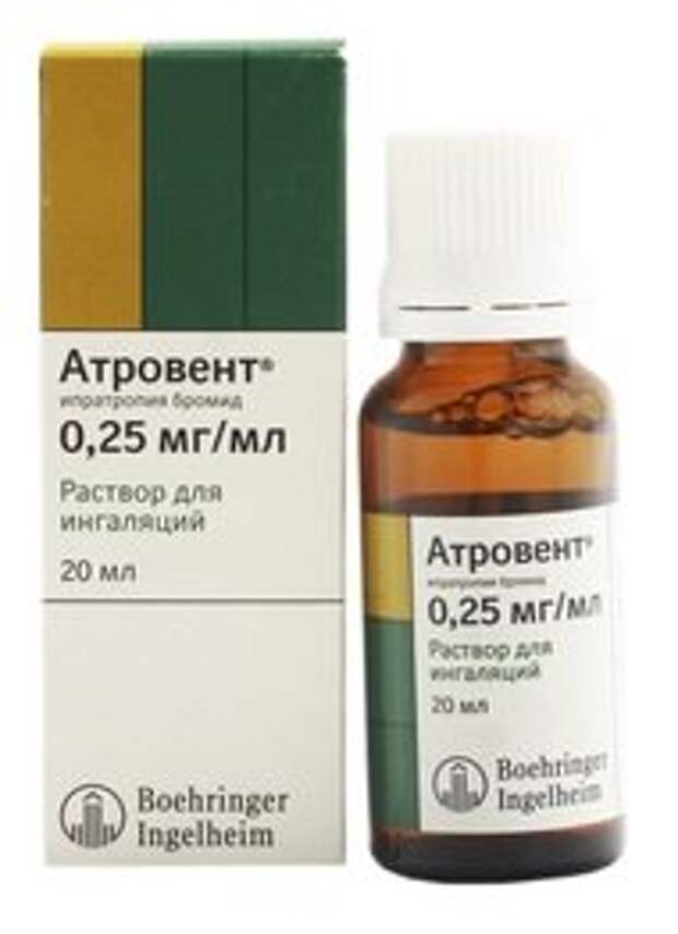 Атровент рецепт на латинском. Атровент рецепт на латинском