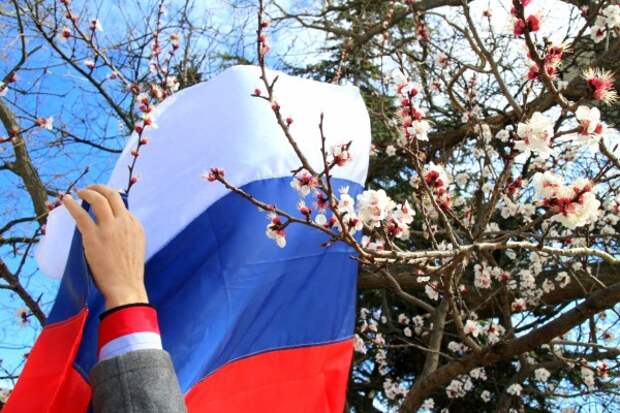Документальная лента «Русской весны»