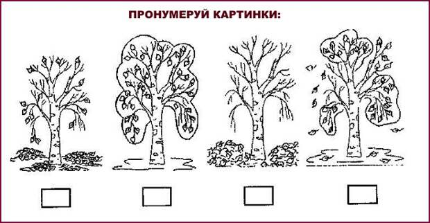 Пронумеруй картинки деревьев
