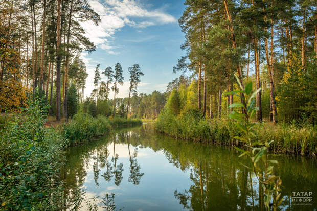 В Татарстане 1 апреля стартует санитарно-экологический двухмесячник