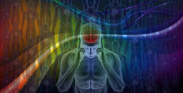 Изучая мгновенные колебания сигналов функциональной магнитно-резонансной томографии (фМРТ) коры головного мозга человека, ученые из Сиднейского университета и Фуданьского университета обнаружили спиралевидные волны, распространяющиеся по всему внешнему сл