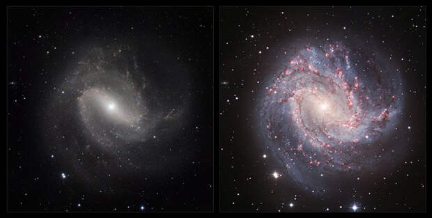 Рис. 1. Галактика M 83