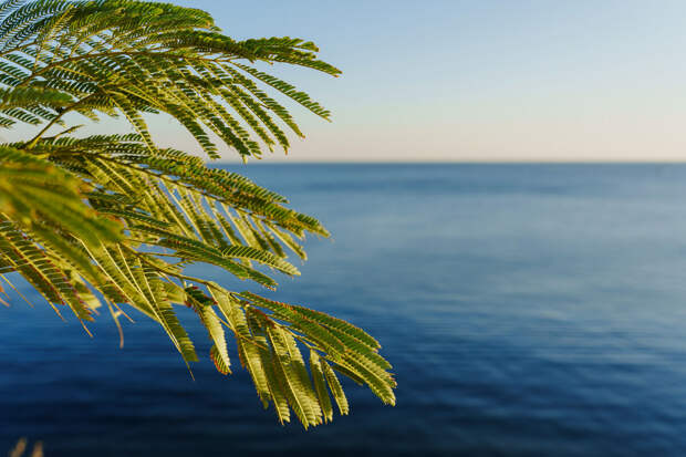 SHOT: на Филиппинах туриста из РФ унесло в открытое море