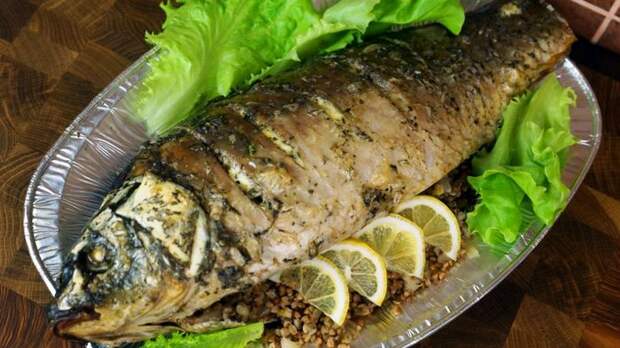Сазан запечённый и фаршированный гречкой С дедом за обедом, Кулинария, Сазан, В духовке, Рыба, Вкусно, Видео, Длиннопост