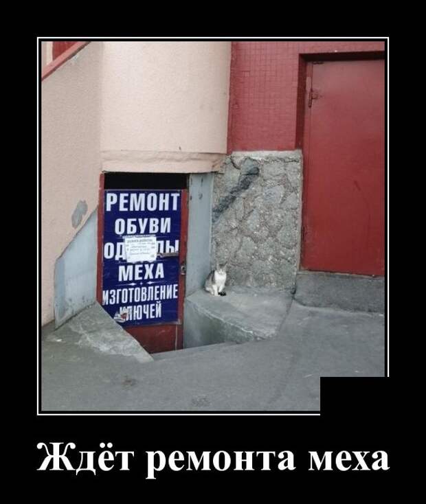 Демотиваторы (30 фото)