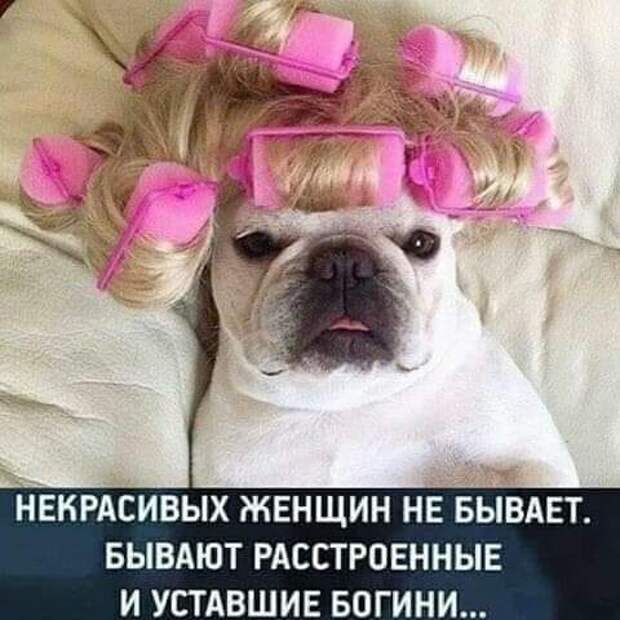 Парень познакомился с девушкой на дискотеке. После привел ее к себе домой...