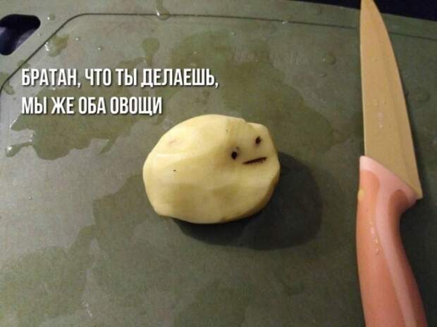 Подборка прикольных картинок