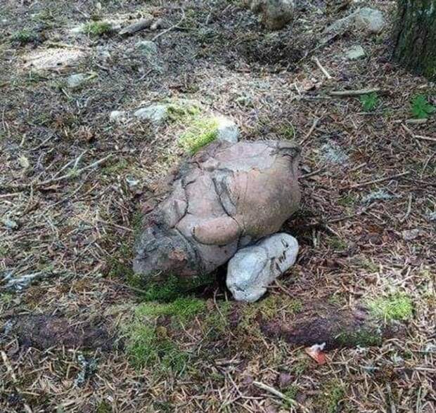 Снимки с нестандартным ракурсом, на которые нужно взглянуть дважды
