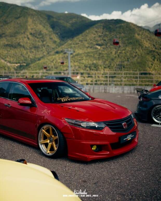 Lowdaily