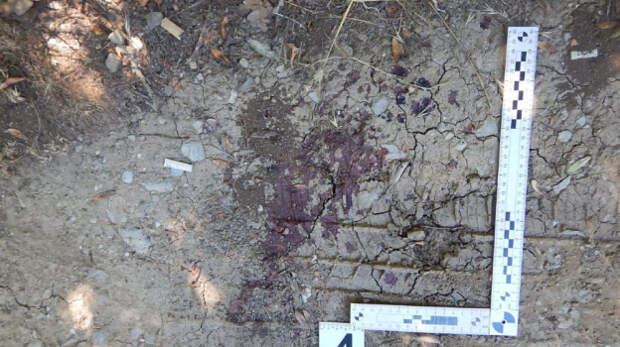 В Ялте задержали убийцу пенсионера