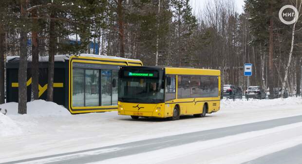 19 января в Ноябрьске организуют бесплатный автобус до крещенской купели