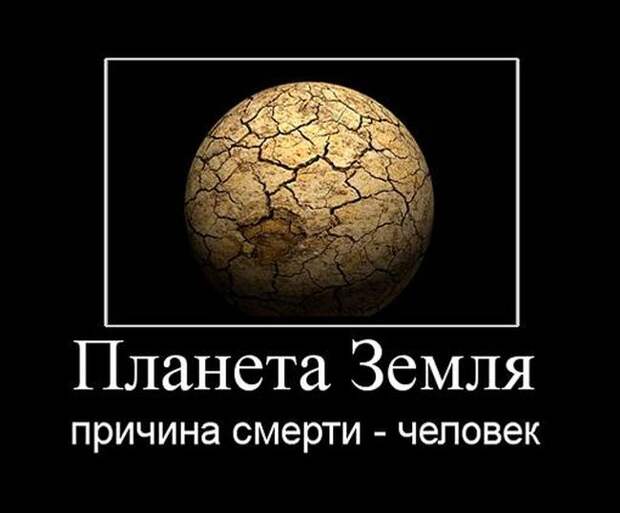 Прикольные и веселые демотиваторы для позитива (11 фото)