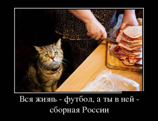 Демотиваторы (30 фото) Демотиваторы (30 фото)