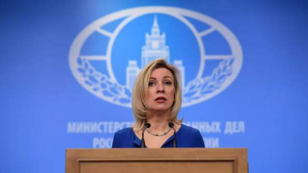 Захарова охарактеризовала западную демократию карикатурой «Руки загребущие»